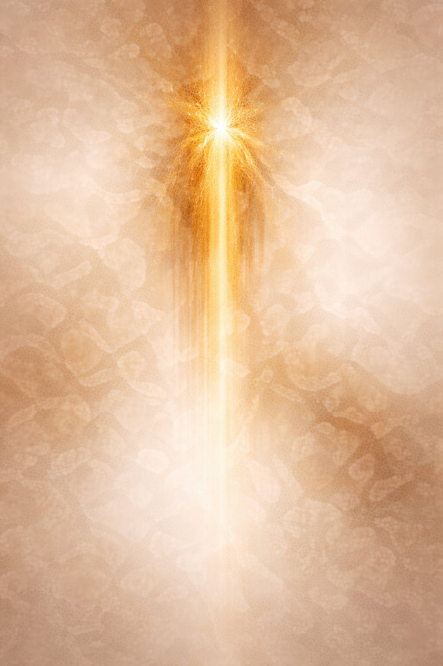 Lumen Ascend